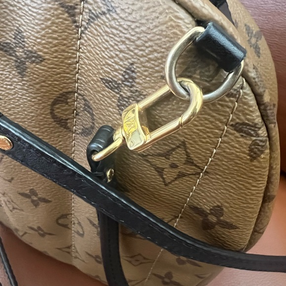 Authentic Louis Vuitton Reverse Monogram Palm Springs Mini Backpack - Picture 5 of 13